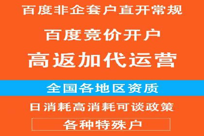 百度竞价托管运营：提升品牌知名度的成功故事
